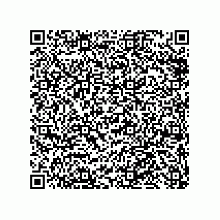 vCard 79811000397
