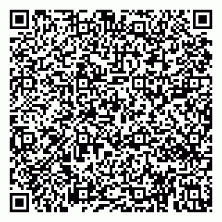 vCard 79813002001