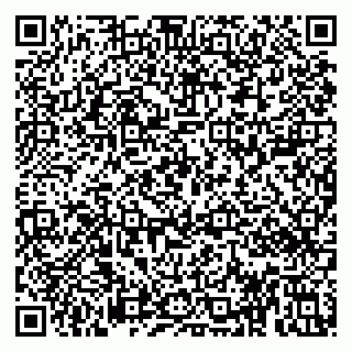 vCard 79813002002