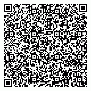 vCard 79813002003
