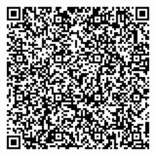 vCard 79813002032