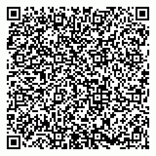 vCard 79813002033