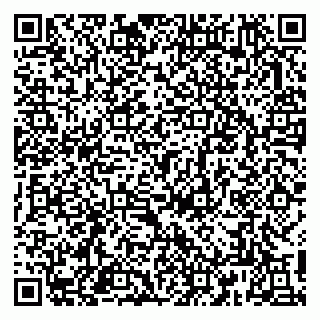vCard 79813002096