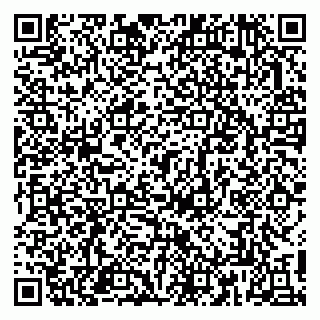 vCard 79813002111