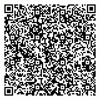 vCard 79813002203