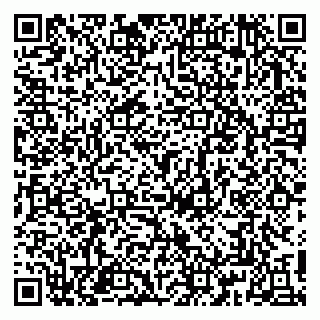 vCard 79813002381