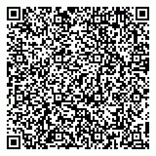 vCard 79813003209