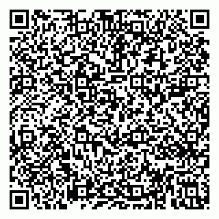 vCard 79813003231