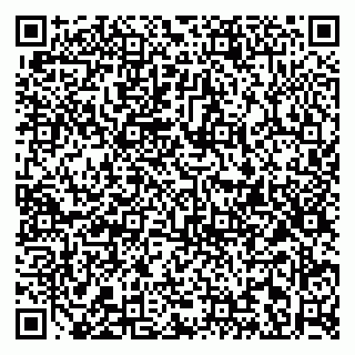 vCard 79813003295