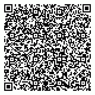 vCard 79813003297