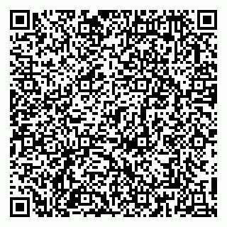 vCard 79813003308