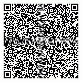 vCard 79813003333