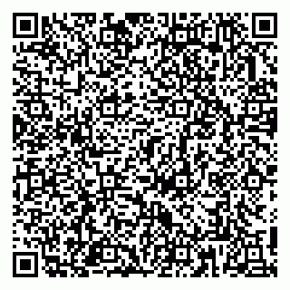 vCard 79813003334