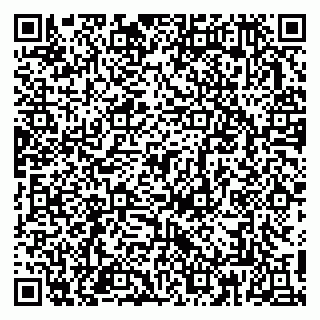 vCard 79813003370