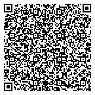 vCard 79813003371