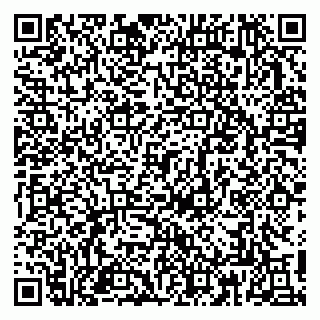 vCard 79813003377