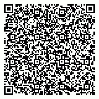 vCard 79813003379