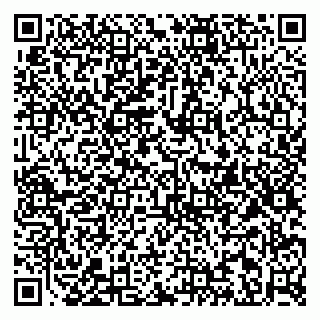 vCard 79813003384