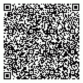 vCard 79813003390