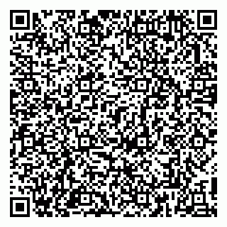 vCard 79813003419