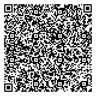 vCard 79813003517