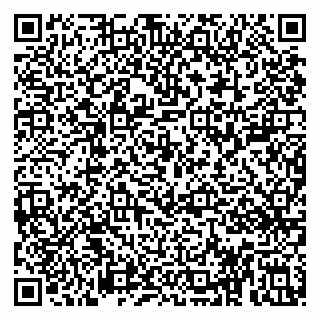 vCard 79813003601