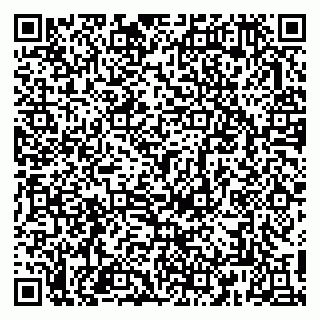 vCard 79813003690