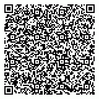 vCard 79813003713