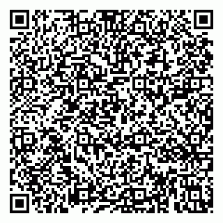 vCard 79813003733