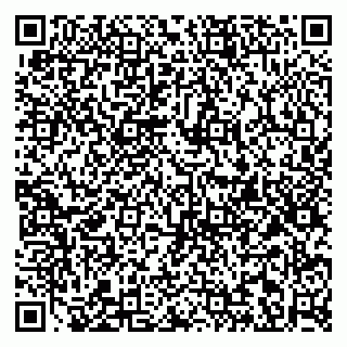 vCard 79813003794