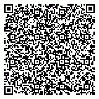 vCard 79813003797