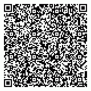 vCard 79813003811