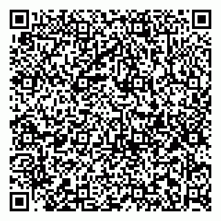 vCard 79813003815