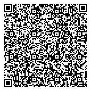 vCard 79813003817
