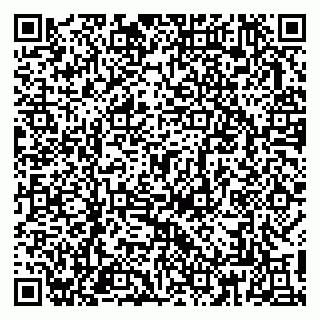 vCard 79813003827