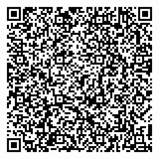 vCard 79813003853