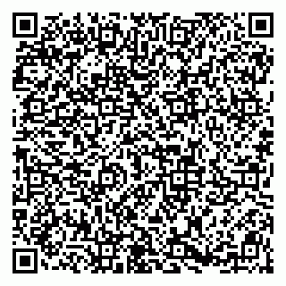 vCard 79813003870