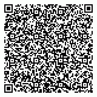 vCard 79813003890