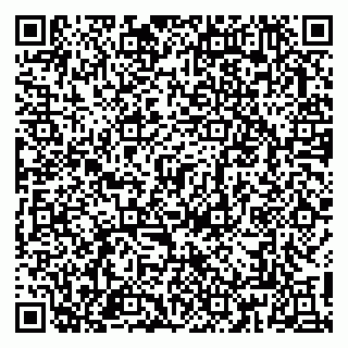 vCard 79813003905