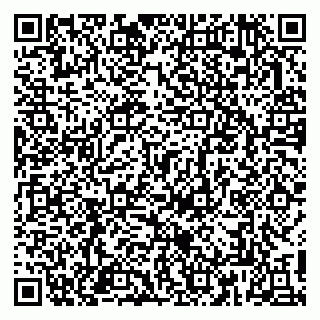 vCard 79813003911