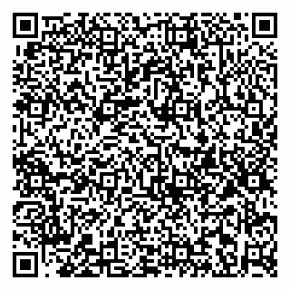 vCard 79813003999