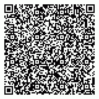 vCard 79813004013