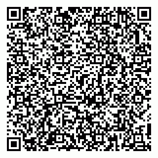 vCard 79813004031