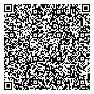 vCard 79813004032
