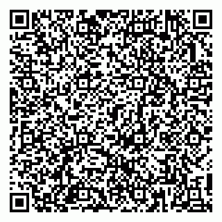 vCard 79813004033