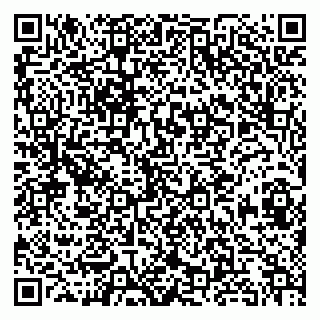 vCard 79813004061
