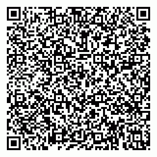 vCard 79813004111