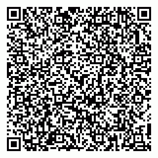 vCard 79813004131