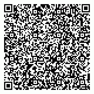 vCard 79813004155