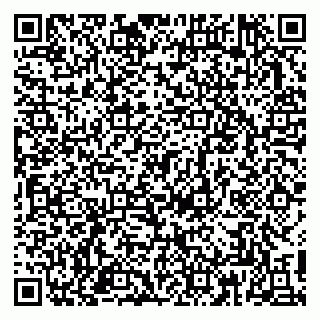 vCard 79813004173